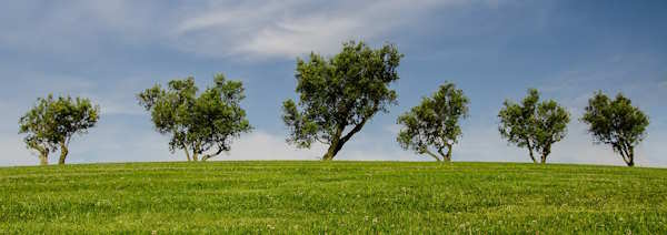 Grundst&uuml;cksmarktbericht 2025